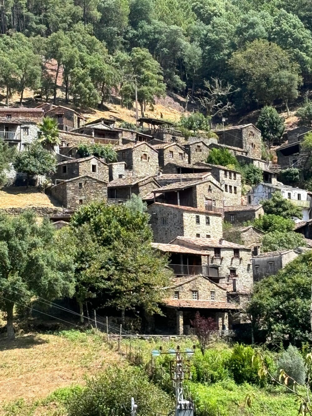 Nature Guardians - Serra da Lousã